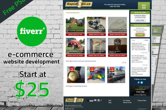 I will build ecommerce website with free graphic