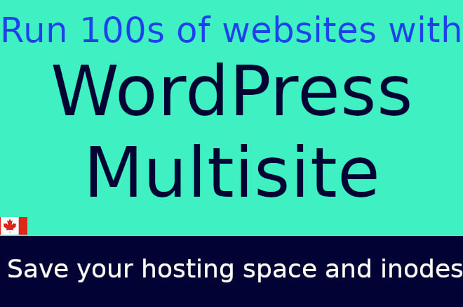 I will build wordpress multisite network, websites with theme and plugins