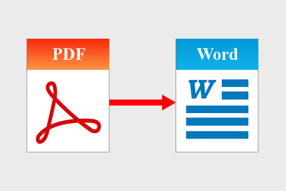 I will convert PDF file into word file ocr