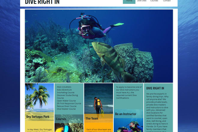I will create a professional wix site