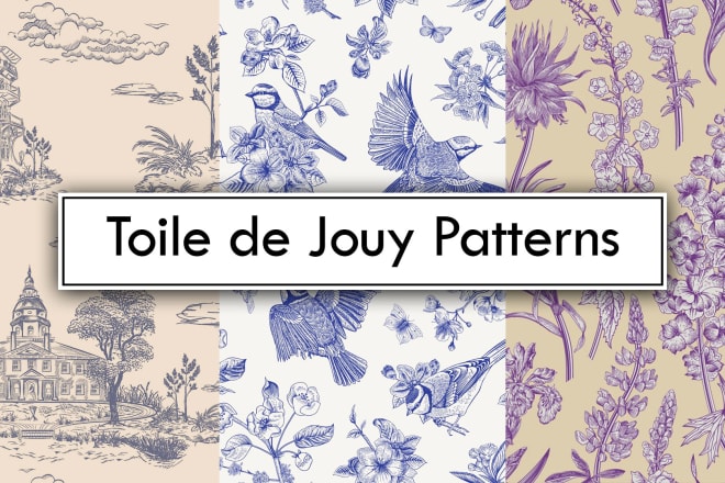 I will create toile de jouy patterns, illustrations textile