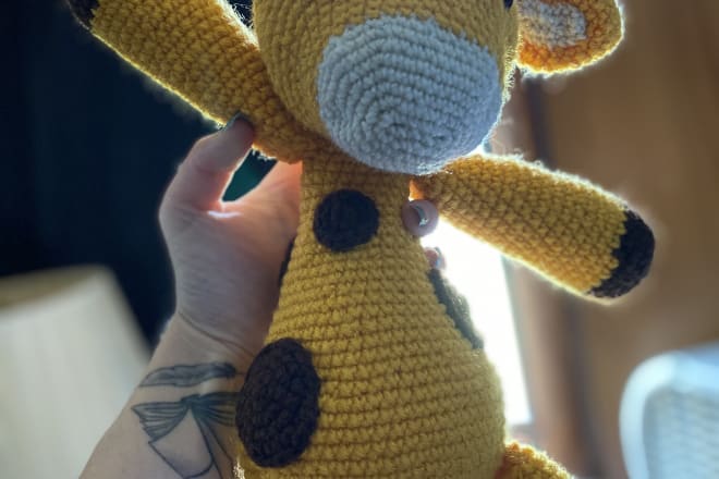 I will crochet you a plushie