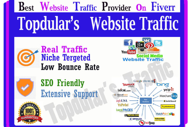 I will deliver real and targeted website traffic