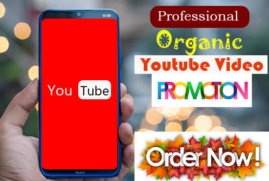 I will do best youtube SEO with an organic video promotion for boost ranking