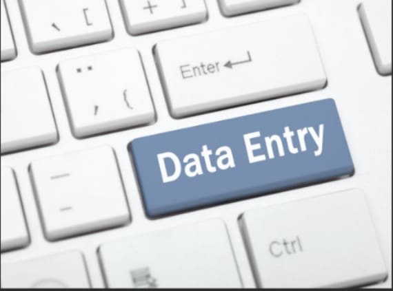 I will do data entry at cheap rates