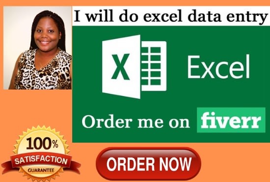 I will do data entry jobs