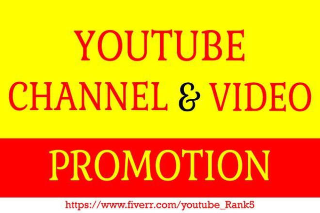 I will do fast organic youtube promotion with real audience