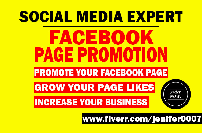 I will do organic promotion of your facebook page