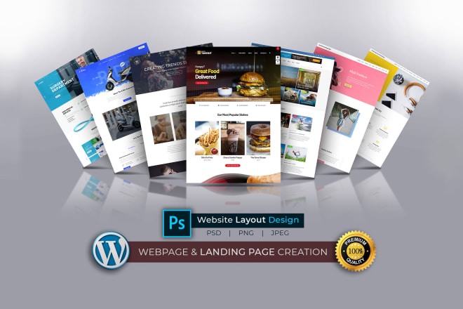 I will do professional web design or landing page