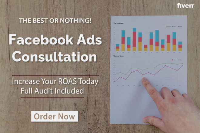 I will do social media facebook ads consulting