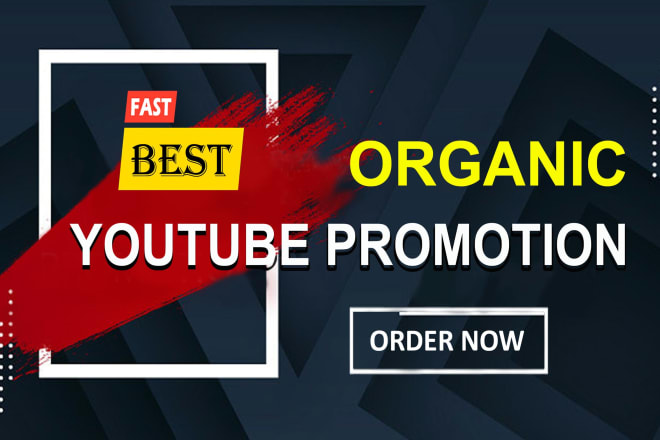 I will do viral best youtube video promotion with google adwords