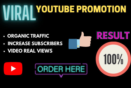 I will do viral youtube promotion for video