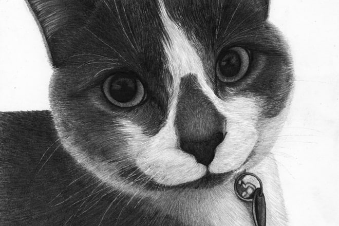 I will draw a pet pencil drawing