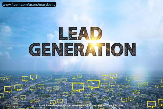 I will generate b2b leads, real leads with targeted audience