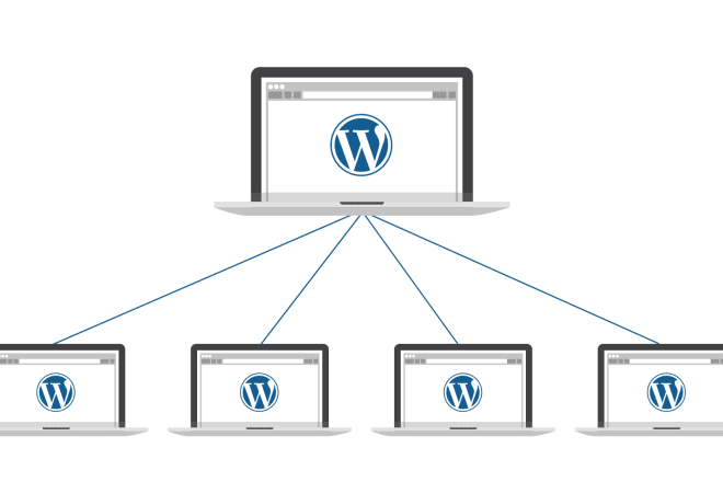 I will install,move, migrate and setup multisite wordpress