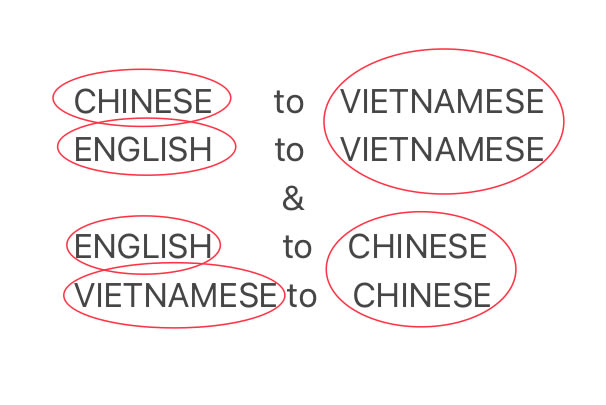 I will translate chinese english vietnamese translator