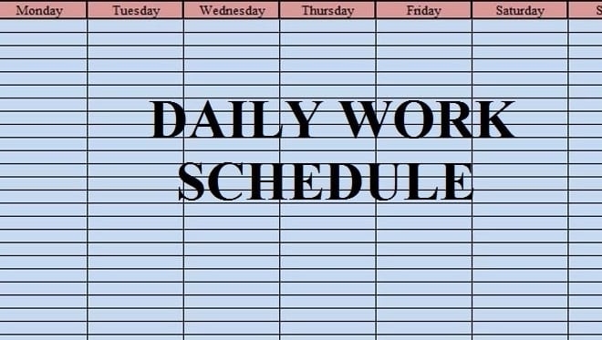 I will virtually manage your accounts and schedule