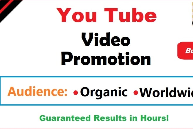 I will youtube video viral marketing budget package