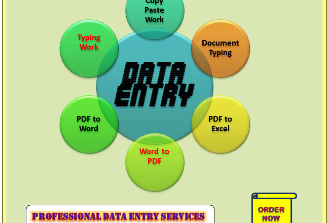 I will be your virtual assistant for data entry projects