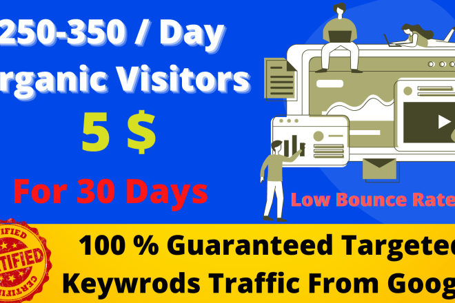 I will bring targeted traffic to your store and website