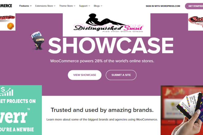 I will build a smart e commerce website by woo commerce