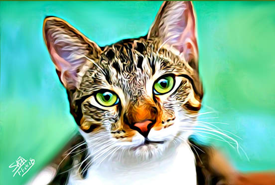 I will digital oil paint your pet cat, dog, bird, fish,rabbit