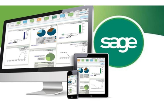 I will do accounting and bookkeeping using intacct and sage 50