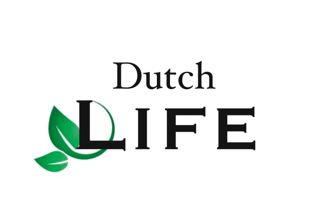 I will do custom logo designs for your business