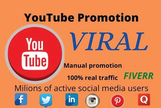 I will do youtube video promotion