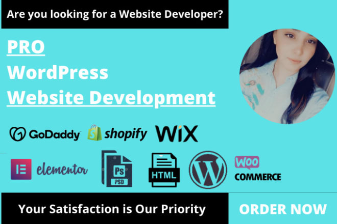 I will dowordpress website development or wordpress website design
