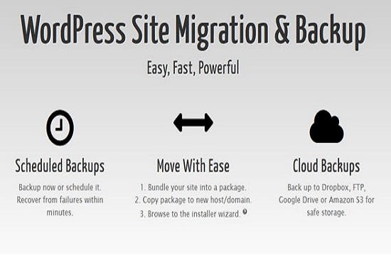 I will install duplicator pro wordpress site migration and backup