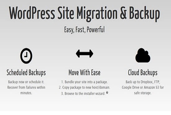 I will install duplicator pro wordpress site migration and backup