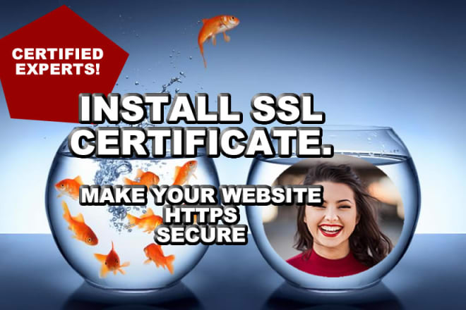I will install ssl certificate, https, secure website ssl https