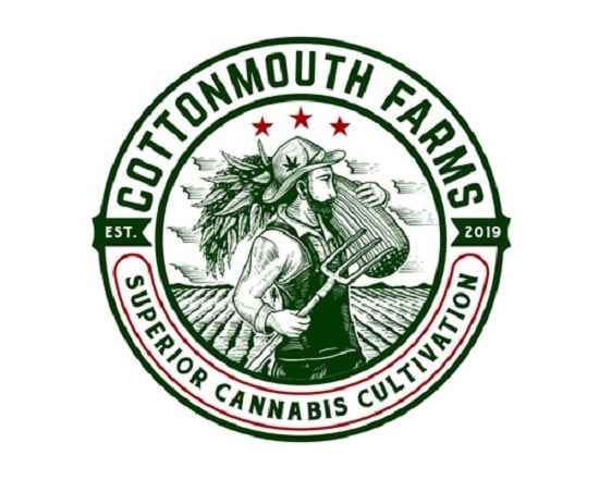 I will make awesome custom and vector weed logo design