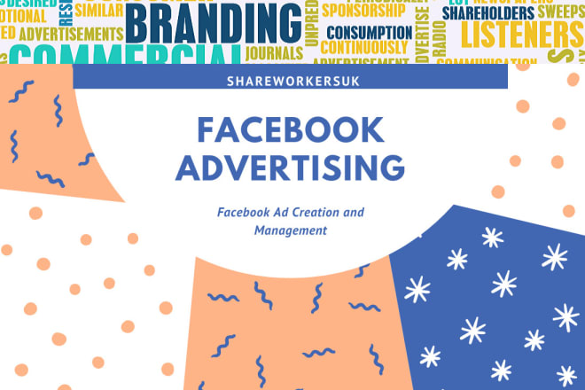 I will manage your facebook ad campaign
