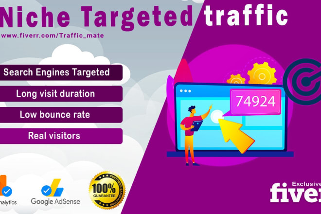 I will send your website niche targeted organic visitors