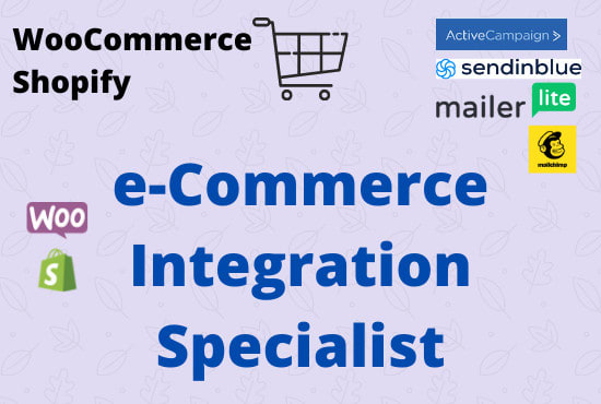 I will set ecommerce automation sendinblue, mailchimp, mailerlite