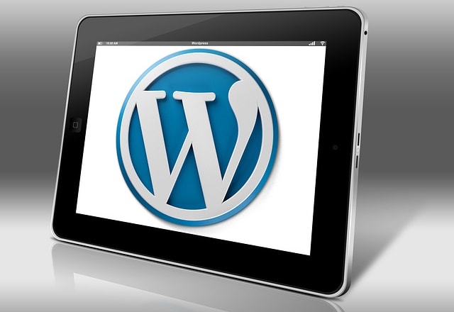 I will update your wordpress website