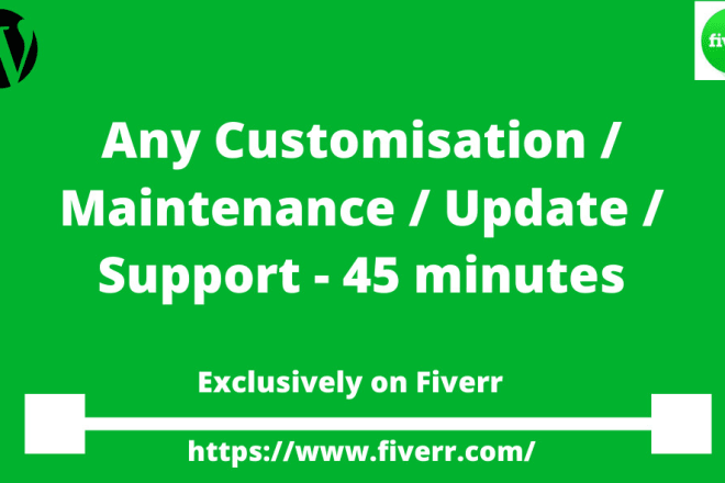 I will any wp customisation maintenance update support 45 minutes