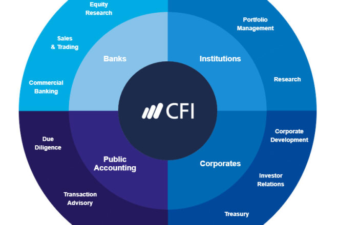 I will assess risk, fmea, financial analysis, ratios, investment analysis