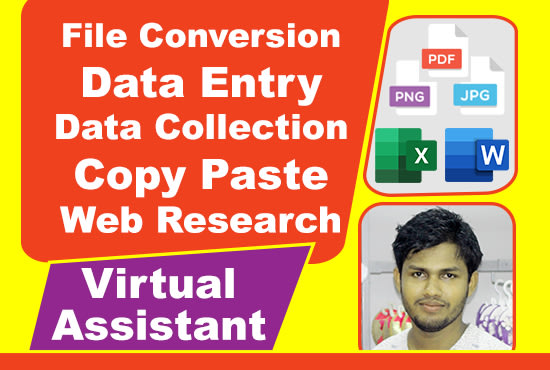 I will be a virtual assistant and do data entry, web research, data mining, copy paste