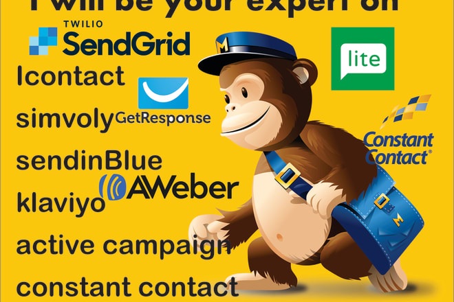 I will be your klaviyo mailchimp, icontact, builderall, simvoly expert