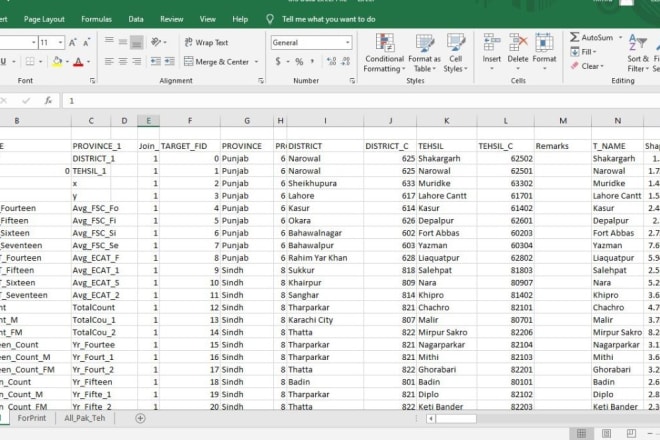 I will be your ms excel and ms access database assistant