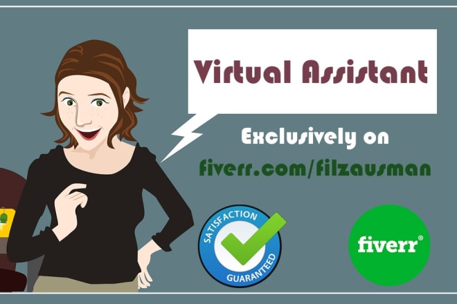 I will be your professional virtual assistant