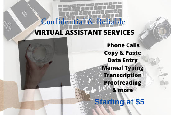 I will be your professional virtual assistant