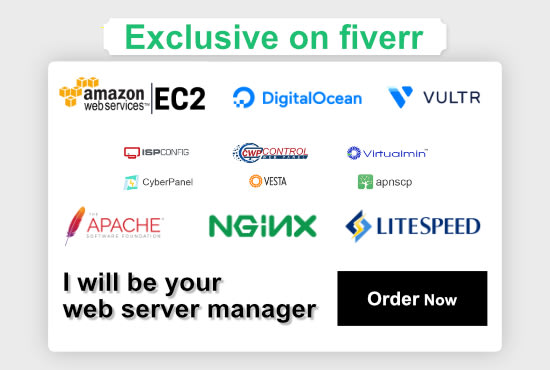 I will be your vps web server manager