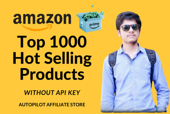 I will build autopilot amazon affiliate website for you