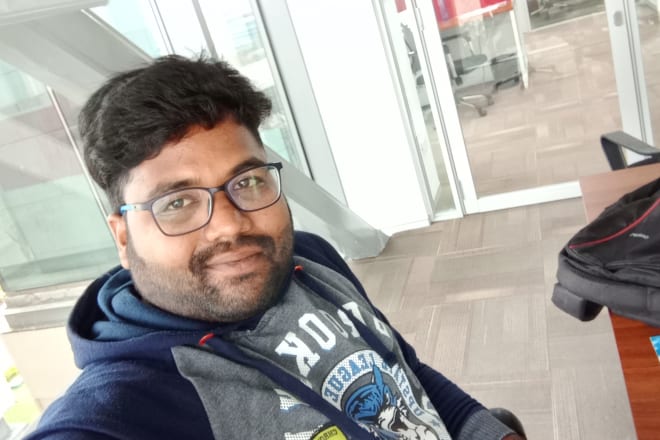 I will build complete websites using wordpress and codeigniter