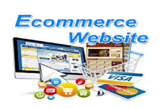 I will build ecommerce website online shop multi vendor online store wordpress webshop