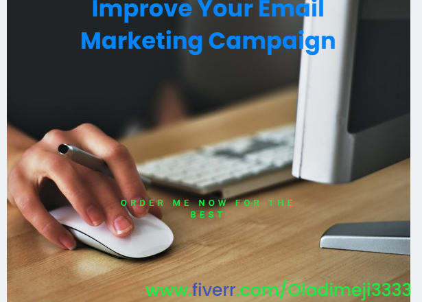I will build effective and manage your email marketing campaigns